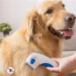 پت شاپ آنلاین تی پتس شانه الکترونیکی کک و کنه