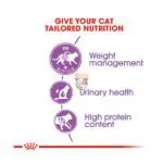 غذا گربه عقیم رویال کنین ROYAL CANIN Sterilised Cat