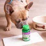 Vitabiotics Superdog ویتامین سوپرداگ