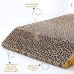 اسکرچر مقوایی گربه