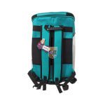 کوله یوروپن گربه دنیل پت