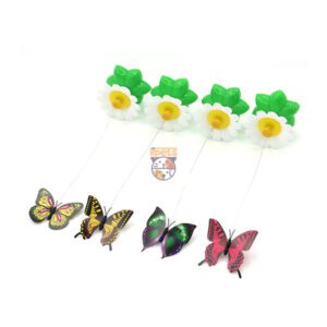 پروانه چرخان گربه