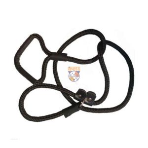 قلاده آموزشی سگ