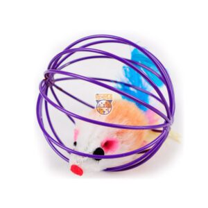 اسباب بازی موش در قفس گربه