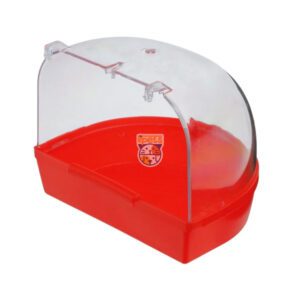 وان حمام بیرون قفس پرندگان