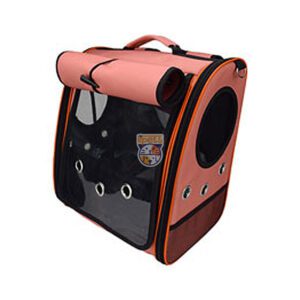 کوله آلما گربه دنیل پت