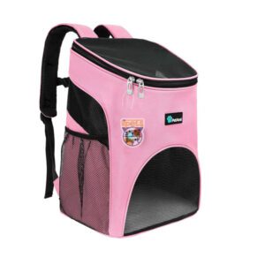 کوله یوروپن گربه دنیل پت