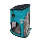 کوله یوروپن گربه دنیل پت