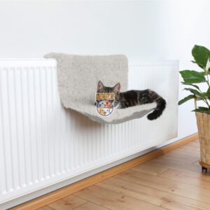 جای خواب رو شوفاژی گربه پابلو